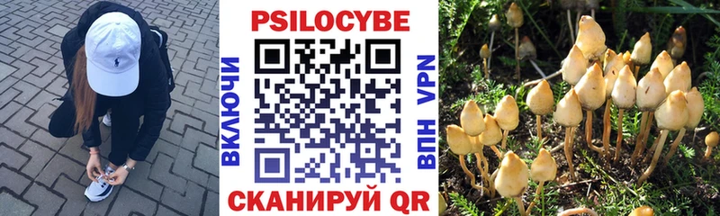 Галлюциногенные грибы мицелий  гидра как зайти  Николаевск 